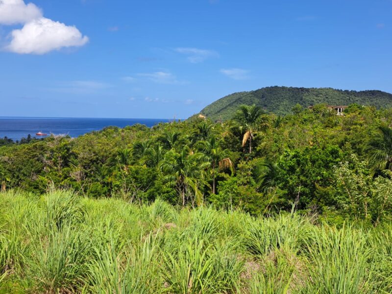 Ocean View Land