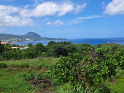 Ocean View Land