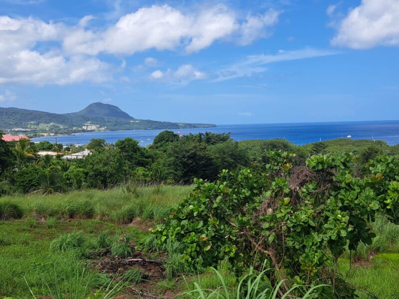 Ocean View Land