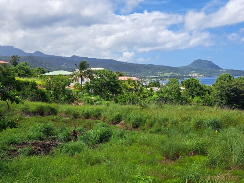 Ocean View Land