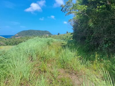 Ocean View Land
