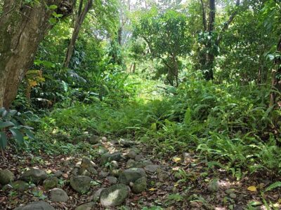 𝐀 𝐏𝐢𝐞𝐜𝐞 𝐨𝐟 𝐍𝐚𝐭𝐮𝐫𝐞 𝐈𝐬𝐥𝐚𝐧𝐝 𝐏𝐚𝐫𝐚𝐝𝐢𝐬𝐞