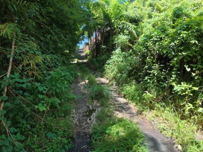 Fixer-Upper with 4.159-acres