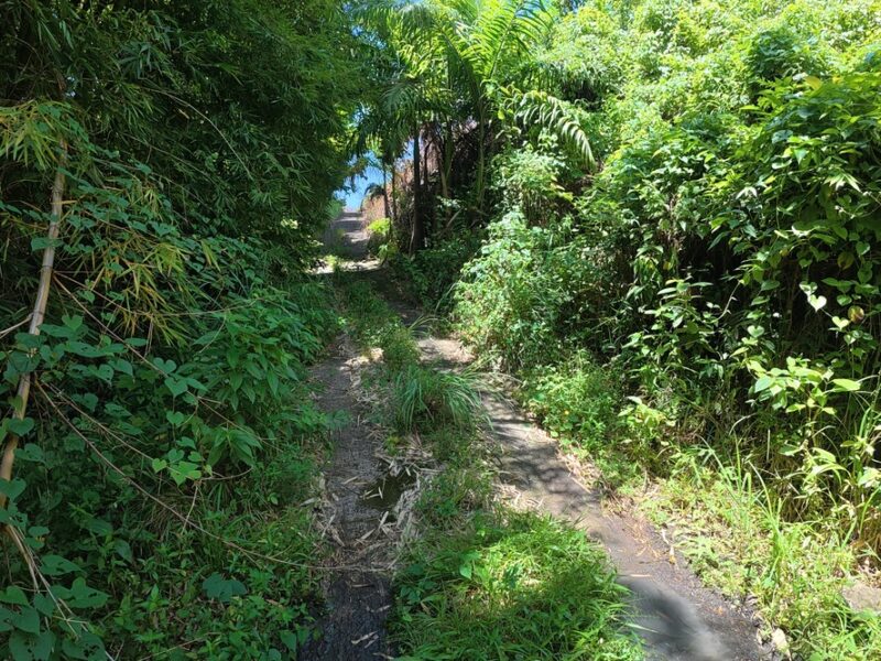 Fixer-Upper with 4.159-acres