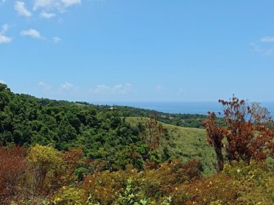 Fixer-Upper with 4.159-acres