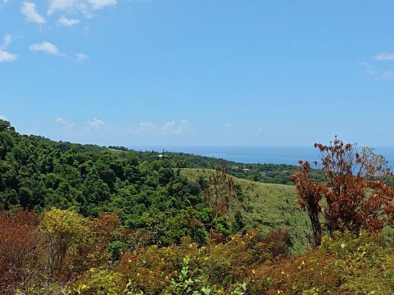 Fixer-Upper with 4.159-acres