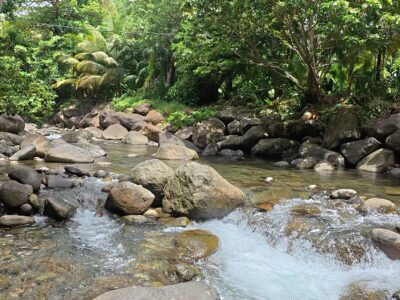 𝐀 𝐏𝐢𝐞𝐜𝐞 𝐨𝐟 𝐍𝐚𝐭𝐮𝐫𝐞 𝐈𝐬𝐥𝐚𝐧𝐝 𝐏𝐚𝐫𝐚𝐝𝐢𝐬𝐞