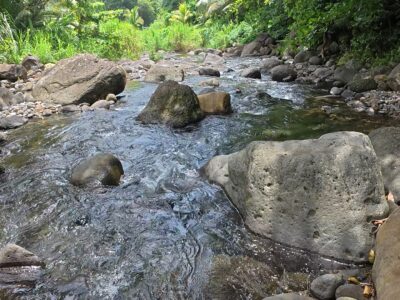 𝐀 𝐏𝐢𝐞𝐜𝐞 𝐨𝐟 𝐍𝐚𝐭𝐮𝐫𝐞 𝐈𝐬𝐥𝐚𝐧𝐝 𝐏𝐚𝐫𝐚𝐝𝐢𝐬𝐞