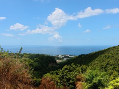 Fixer-Upper with 4.159-acres