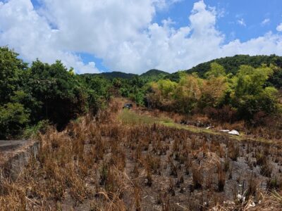 Fixer-Upper with 4.159-acres