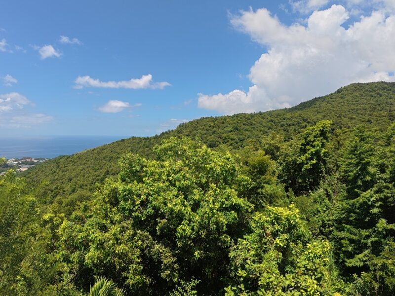 Fixer-Upper with 4.159-acres