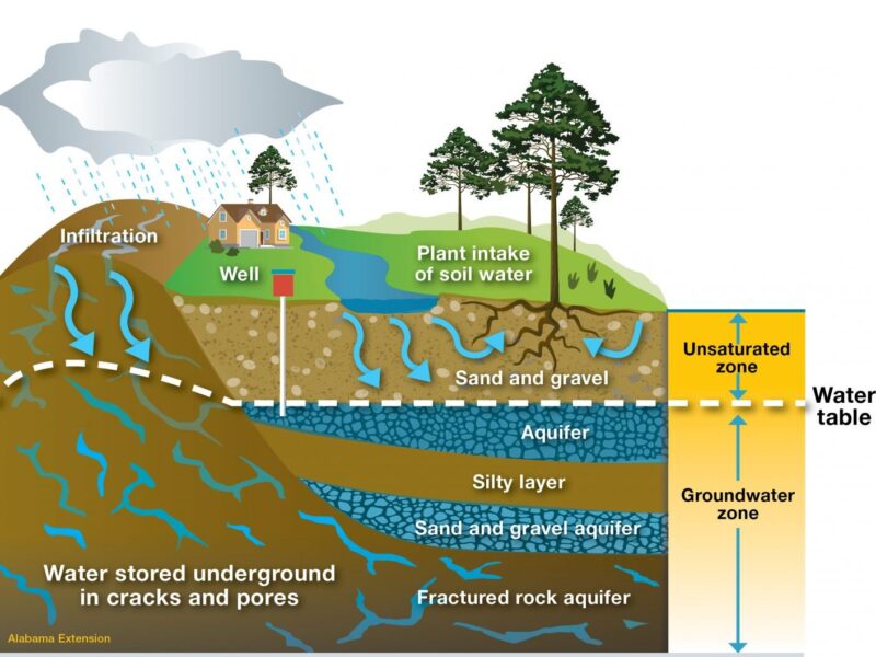 Invest in Brantridge Spring Water Dominica's Ltd. Purest Natural Resource — Water
