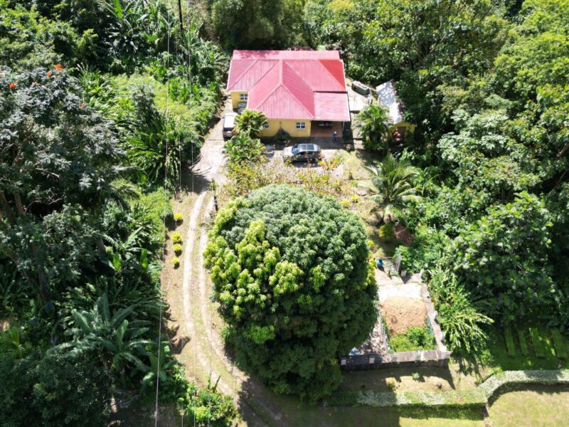 Exquisite Fully Furnished 4-Bedroom Home with Pool in Shawford, Dominica