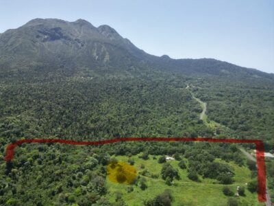 Invest in Brantridge Spring Water Dominica's Ltd. Purest Natural Resource — Water