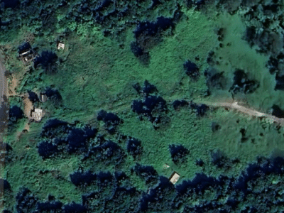 Invest in Brantridge Spring Water Dominica's Ltd. Purest Natural Resource — Water