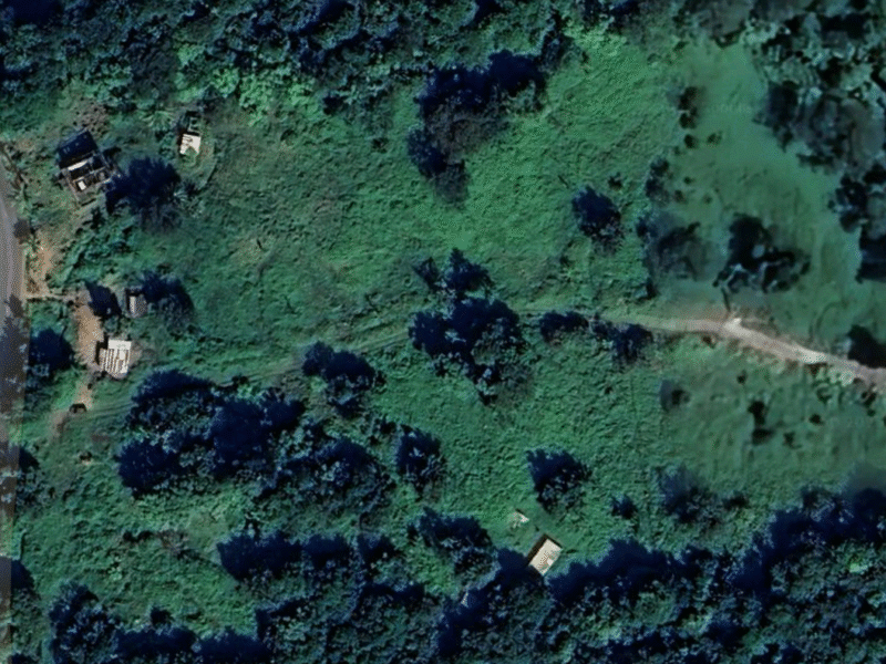 Invest in Brantridge Spring Water Dominica's Ltd. Purest Natural Resource — Water