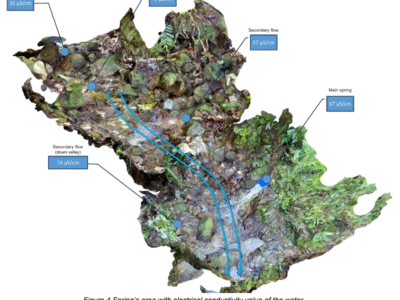 Invest in Brantridge Spring Water Dominica's Ltd. Purest Natural Resource — Water