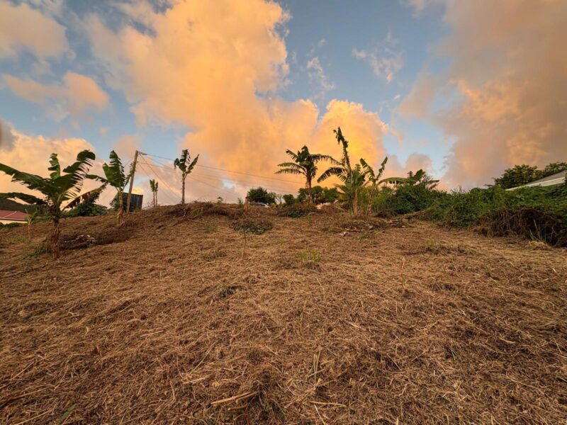 Exclusive Residential Land for Sale 22,799 sq ft – Belfast