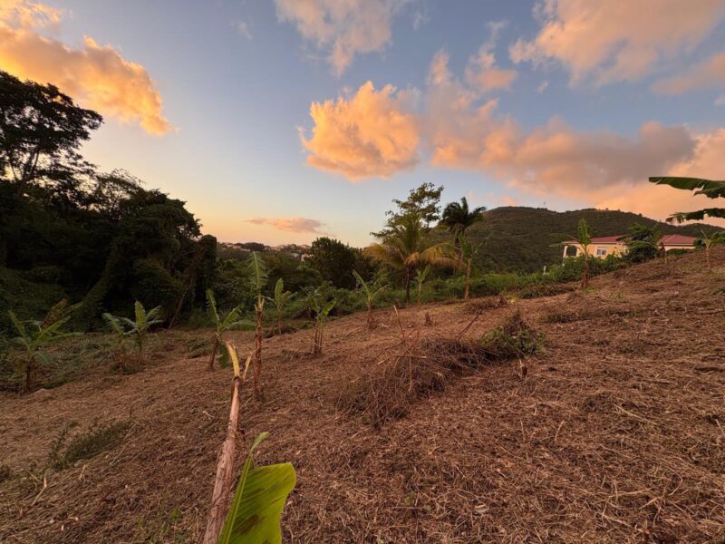 Exclusive Residential Land for Sale 22,799 sq ft – Belfast