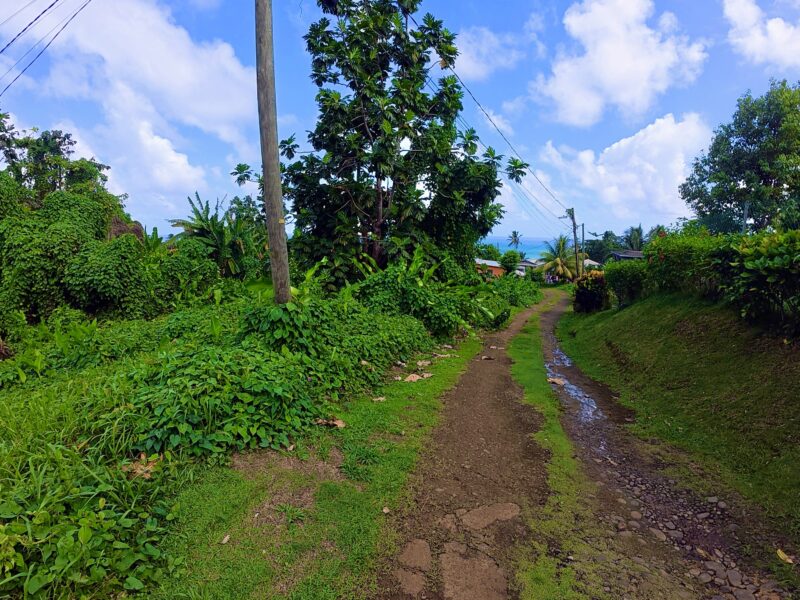 𝐏𝐑𝐈𝐌𝐄 𝐎𝐏𝐏𝐎𝐑𝐓𝐔𝐍𝐈𝐓𝐘 - 𝐍𝐎𝐑𝐓𝐇𝐄𝐍𝐃, 𝐌𝐀𝐑𝐈𝐆𝐎𝐓