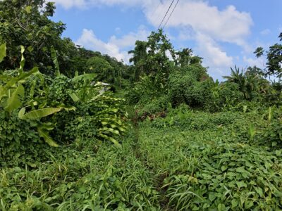 𝐏𝐑𝐈𝐌𝐄 𝐎𝐏𝐏𝐎𝐑𝐓𝐔𝐍𝐈𝐓𝐘 - 𝐍𝐎𝐑𝐓𝐇𝐄𝐍𝐃, 𝐌𝐀𝐑𝐈𝐆𝐎𝐓