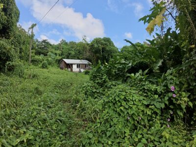 𝐏𝐑𝐈𝐌𝐄 𝐎𝐏𝐏𝐎𝐑𝐓𝐔𝐍𝐈𝐓𝐘 - 𝐍𝐎𝐑𝐓𝐇𝐄𝐍𝐃, 𝐌𝐀𝐑𝐈𝐆𝐎𝐓