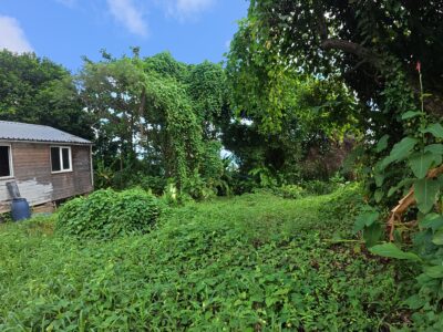 𝐏𝐑𝐈𝐌𝐄 𝐎𝐏𝐏𝐎𝐑𝐓𝐔𝐍𝐈𝐓𝐘 - 𝐍𝐎𝐑𝐓𝐇𝐄𝐍𝐃, 𝐌𝐀𝐑𝐈𝐆𝐎𝐓