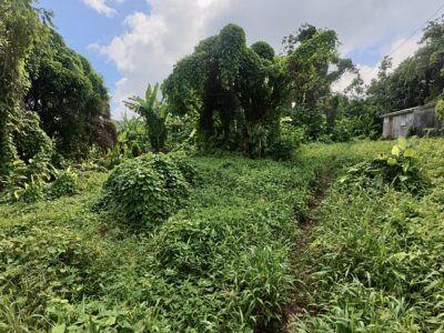 𝐏𝐑𝐈𝐌𝐄 𝐎𝐏𝐏𝐎𝐑𝐓𝐔𝐍𝐈𝐓𝐘 - 𝐍𝐎𝐑𝐓𝐇𝐄𝐍𝐃, 𝐌𝐀𝐑𝐈𝐆𝐎𝐓