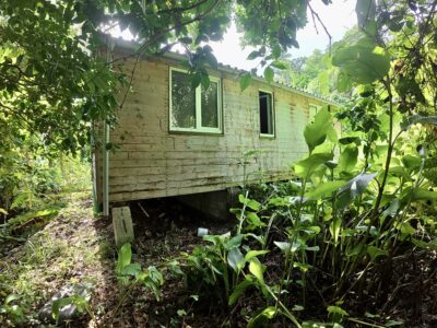 𝐏𝐑𝐈𝐌𝐄 𝐎𝐏𝐏𝐎𝐑𝐓𝐔𝐍𝐈𝐓𝐘 - 𝐍𝐎𝐑𝐓𝐇𝐄𝐍𝐃, 𝐌𝐀𝐑𝐈𝐆𝐎𝐓