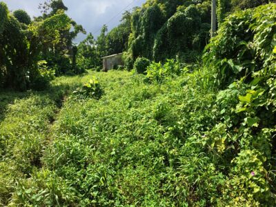 𝐏𝐑𝐈𝐌𝐄 𝐎𝐏𝐏𝐎𝐑𝐓𝐔𝐍𝐈𝐓𝐘 - 𝐍𝐎𝐑𝐓𝐇𝐄𝐍𝐃, 𝐌𝐀𝐑𝐈𝐆𝐎𝐓