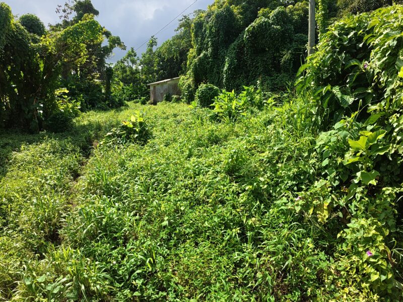 𝐏𝐑𝐈𝐌𝐄 𝐎𝐏𝐏𝐎𝐑𝐓𝐔𝐍𝐈𝐓𝐘 - 𝐍𝐎𝐑𝐓𝐇𝐄𝐍𝐃, 𝐌𝐀𝐑𝐈𝐆𝐎𝐓