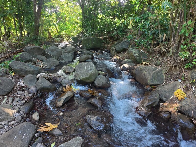 𝐏𝐑𝐈𝐌𝐄 𝟎.𝟒𝟑-𝐀𝐂𝐑𝐄 — 𝐌𝐄𝐋𝐕𝐈𝐋𝐋𝐄 𝐇𝐀𝐋𝐋