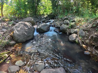 𝐏𝐑𝐈𝐌𝐄 𝟎.𝟒𝟑-𝐀𝐂𝐑𝐄 — 𝐌𝐄𝐋𝐕𝐈𝐋𝐋𝐄 𝐇𝐀𝐋𝐋