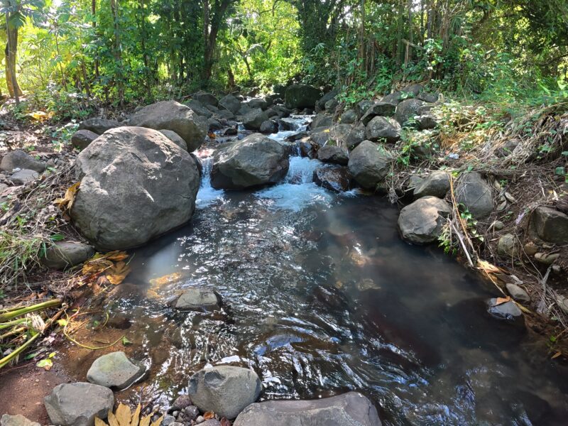 𝐏𝐑𝐈𝐌𝐄 𝟎.𝟒𝟑-𝐀𝐂𝐑𝐄 — 𝐌𝐄𝐋𝐕𝐈𝐋𝐋𝐄 𝐇𝐀𝐋𝐋