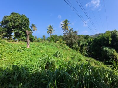 𝐏𝐑𝐈𝐌𝐄 𝟎.𝟒𝟑-𝐀𝐂𝐑𝐄 — 𝐌𝐄𝐋𝐕𝐈𝐋𝐋𝐄 𝐇𝐀𝐋𝐋