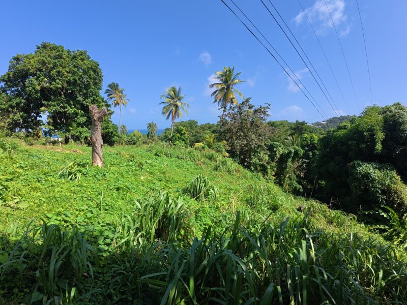 𝐏𝐑𝐈𝐌𝐄 𝟎.𝟒𝟑-𝐀𝐂𝐑𝐄 — 𝐌𝐄𝐋𝐕𝐈𝐋𝐋𝐄 𝐇𝐀𝐋𝐋