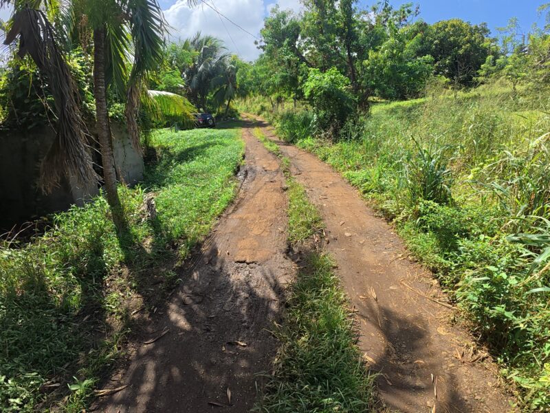 𝐏𝐑𝐈𝐌𝐄 𝟎.𝟒𝟑-𝐀𝐂𝐑𝐄 — 𝐌𝐄𝐋𝐕𝐈𝐋𝐋𝐄 𝐇𝐀𝐋𝐋