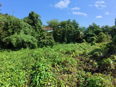 Ocean View Land -North End Marigot