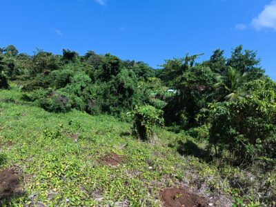 Ocean View Land -North End Marigot