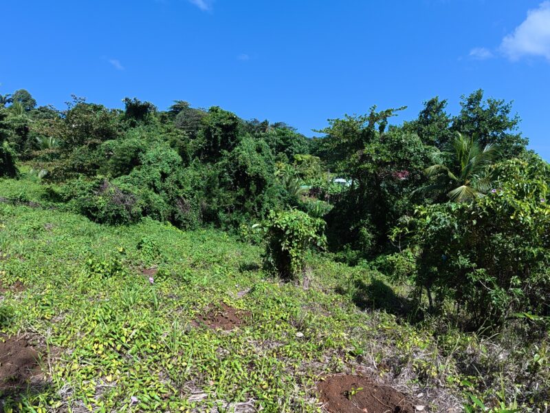 Ocean View Land -North End Marigot