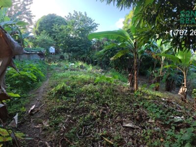 Homesite Opportunity