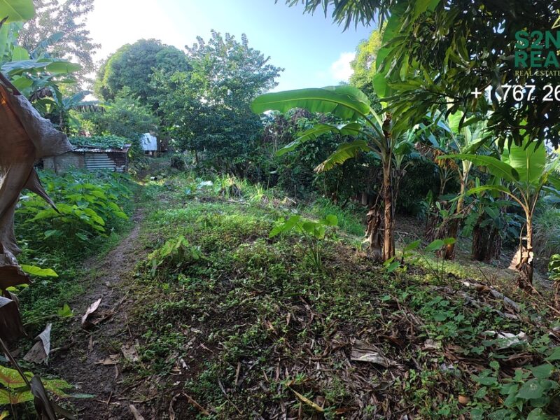 Homesite Opportunity