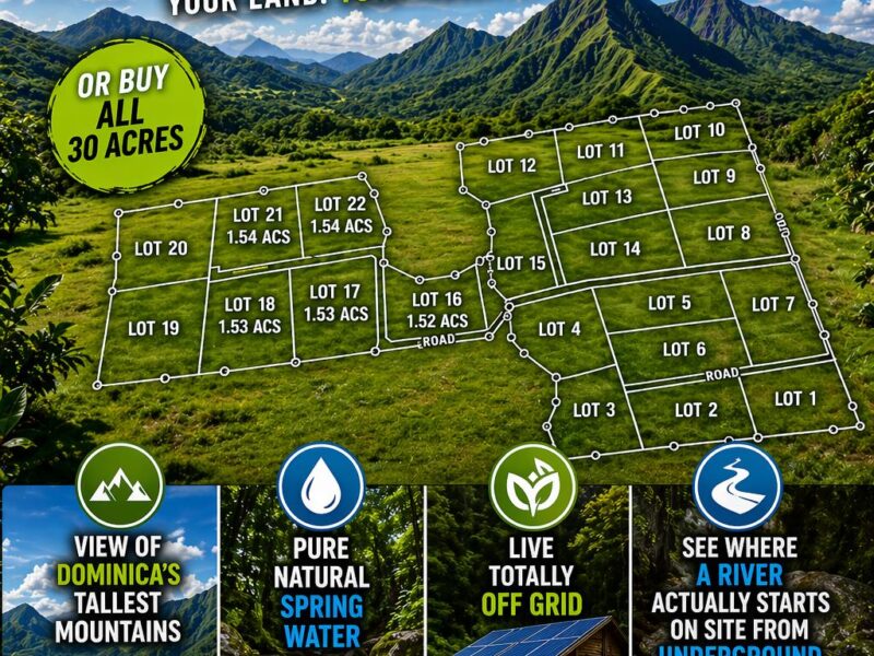 Pond Casse Lots for Sale Dominica