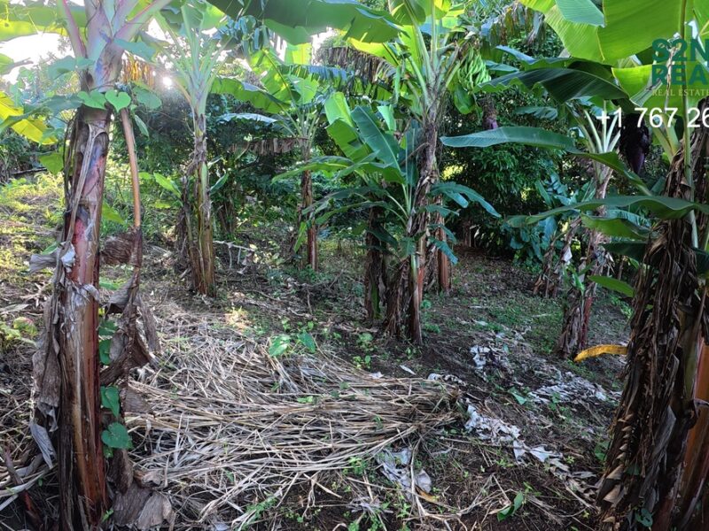 Homesite Opportunity