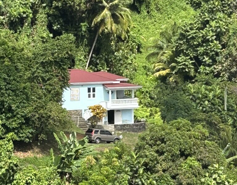 Cozy Cottage