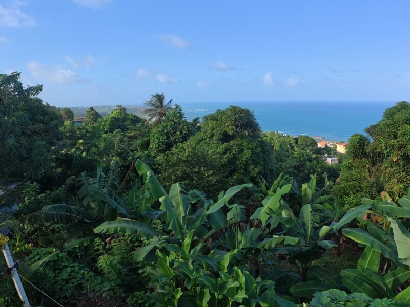 Homesite Opportunity