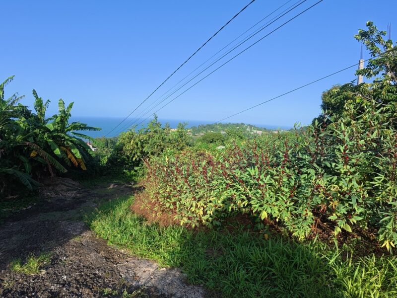 Homesite Opportunity