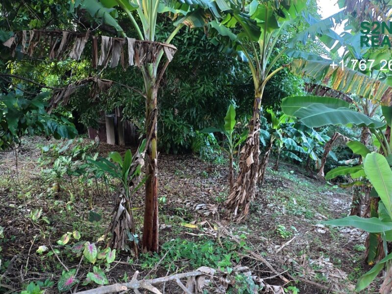 Homesite Opportunity